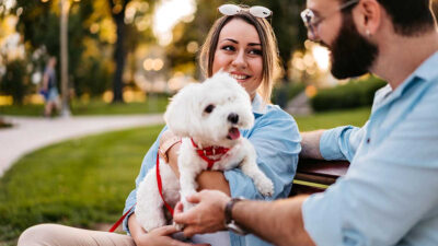 millennials terminarían con parejas si no se lleva bien con mascota