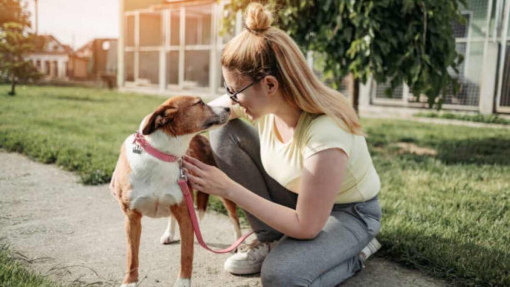 Los cerebros de perros y humanos se sincronizan al mirarse a los ojos