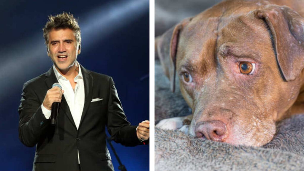 muere perro Alejandro Fernández