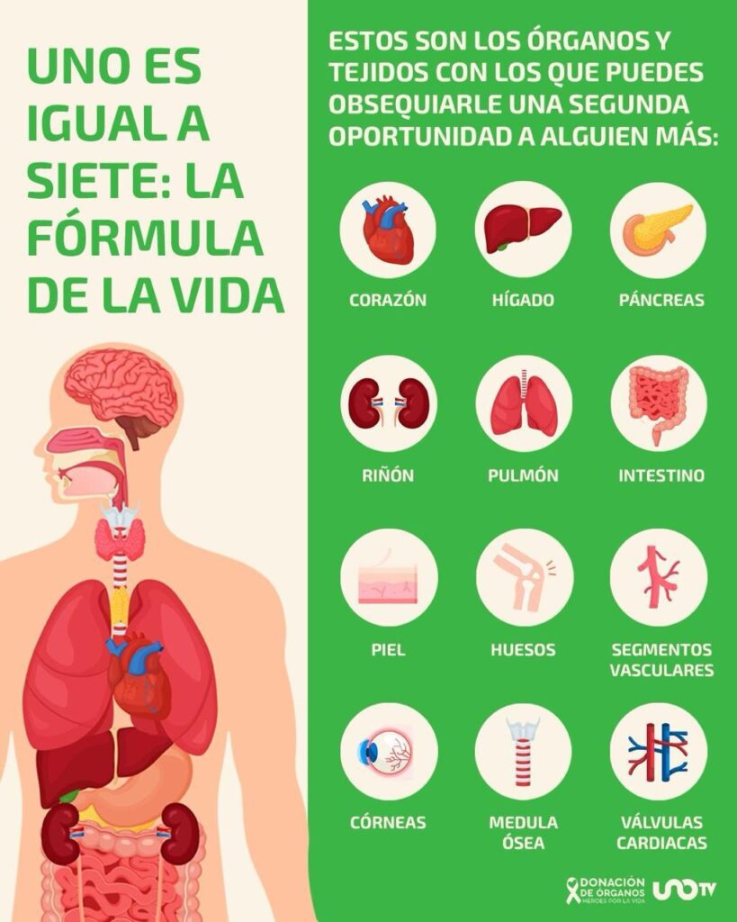 Organos Tejidos Donar