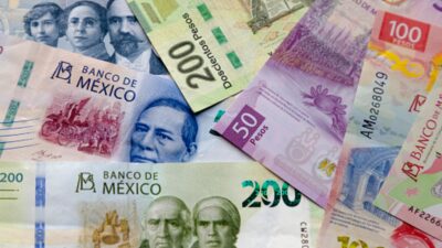 De Sor Juana al ajolote: ¿Qué personajes han aparecido en los billetes mexicanos?