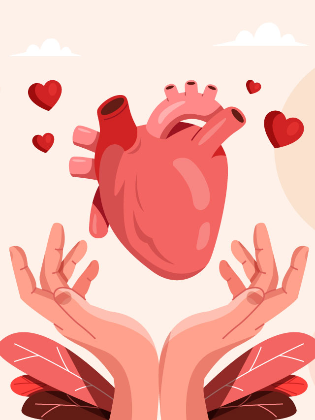 ¿Qué órganos y tejidos se pueden donar?