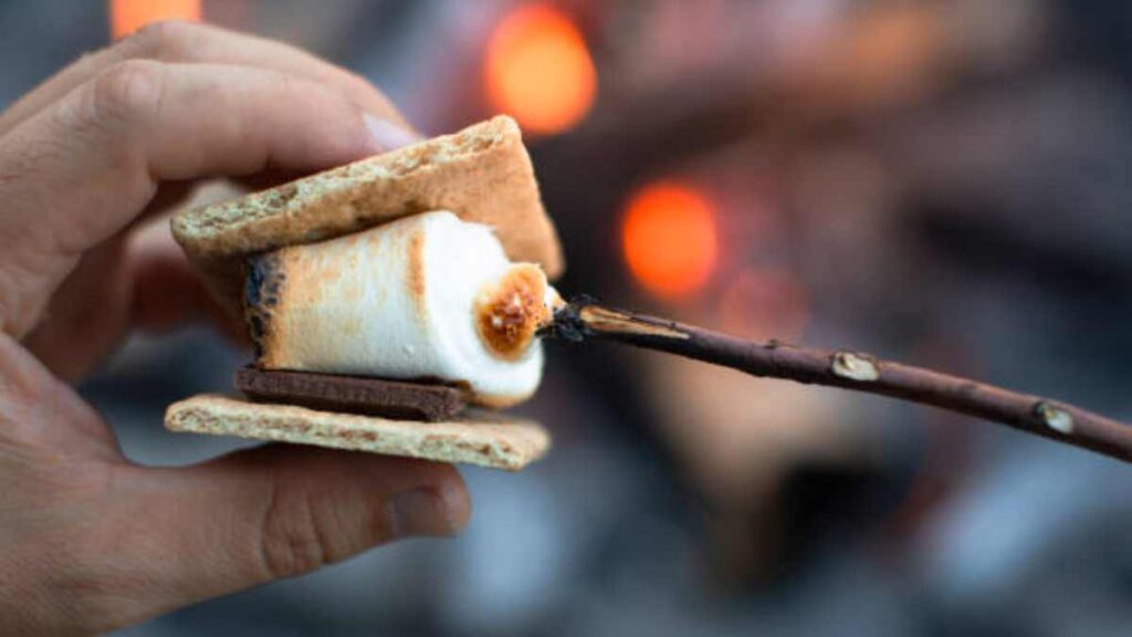 S'mores - Figure 1