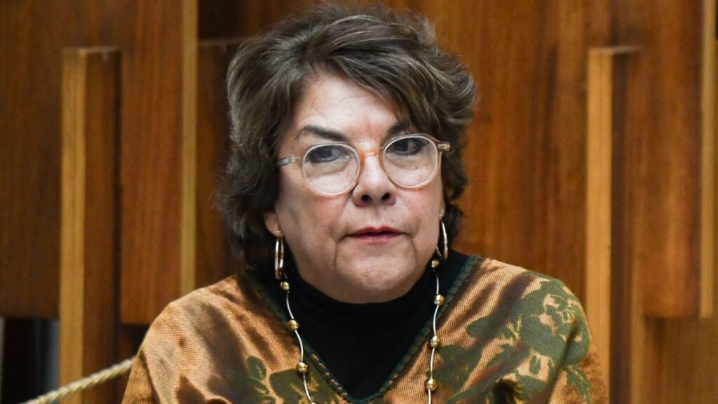 Rocío Bárcena Molina, subsecretaria de Desarrollo Democrático, Participación Social y Asuntos Religiosos de la Secretaría de Gobernación