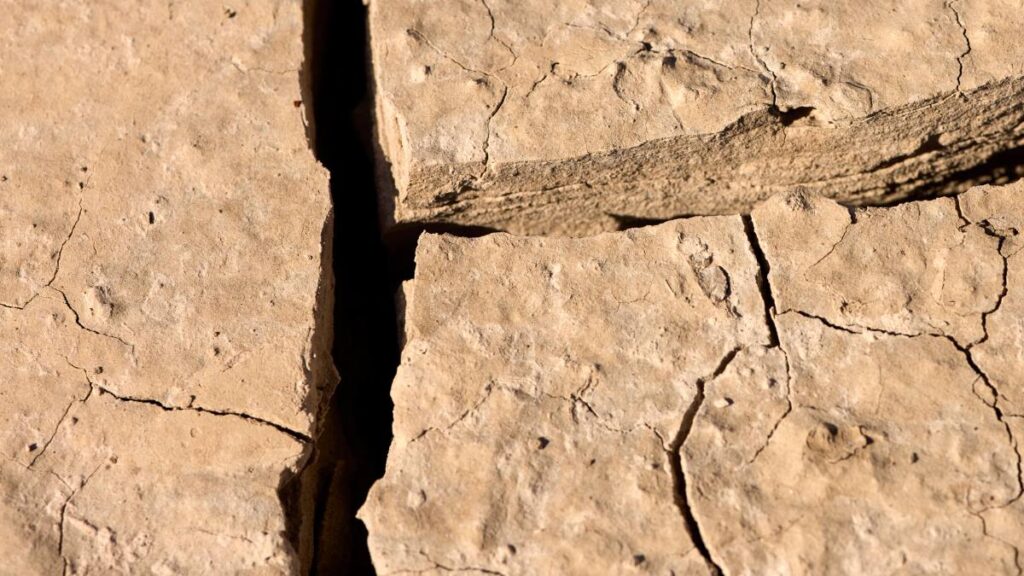 Se abre la tierra: enorme grieta aparece en Sonora; ganadero la muestra en video