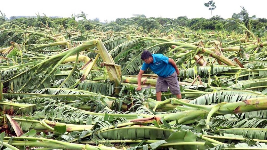 tifón Yagi azota a China y rompe récord