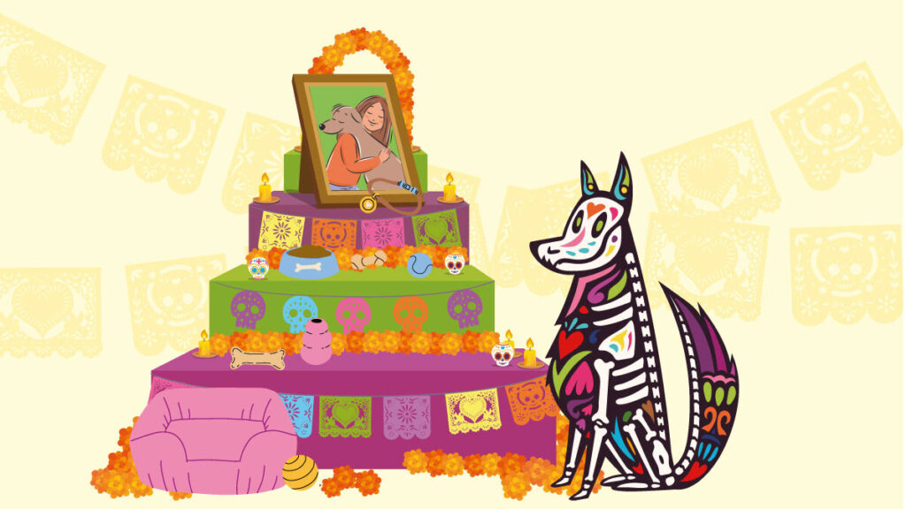 ¿Qué poner en la ofrenda para mascotas el Día de Muertos?