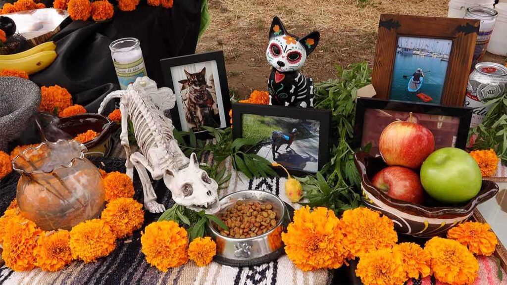 Mictlánimal: organizan ofrenda para mascotas en CDMX