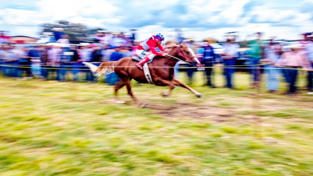 El caballo arrolló a los espectadores de su carrera.