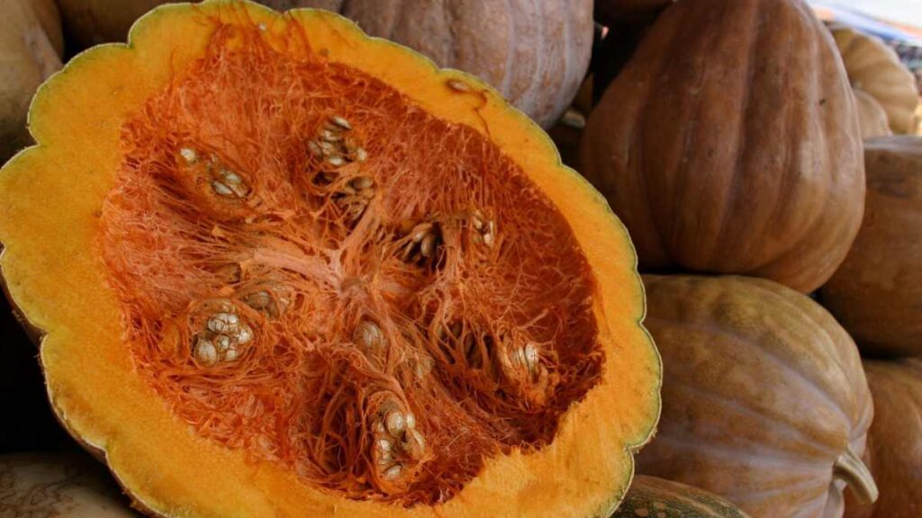 Dulce de calabaza: ¿Por qué se llama calabaza en tacha?