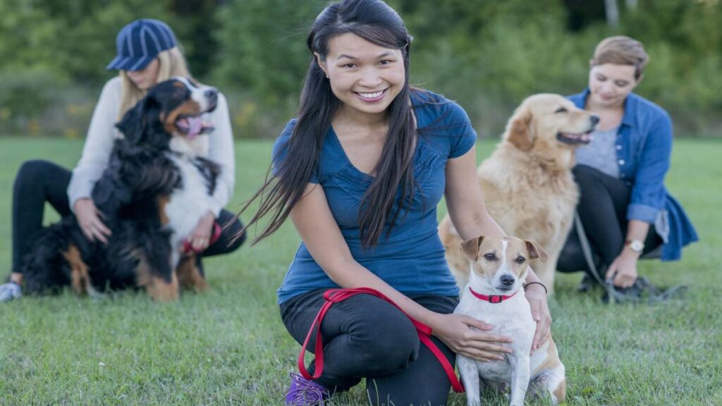 Personas que quieran adoptar un perro en España tendrán que hacer un curso para obtener un certificado de aptitud