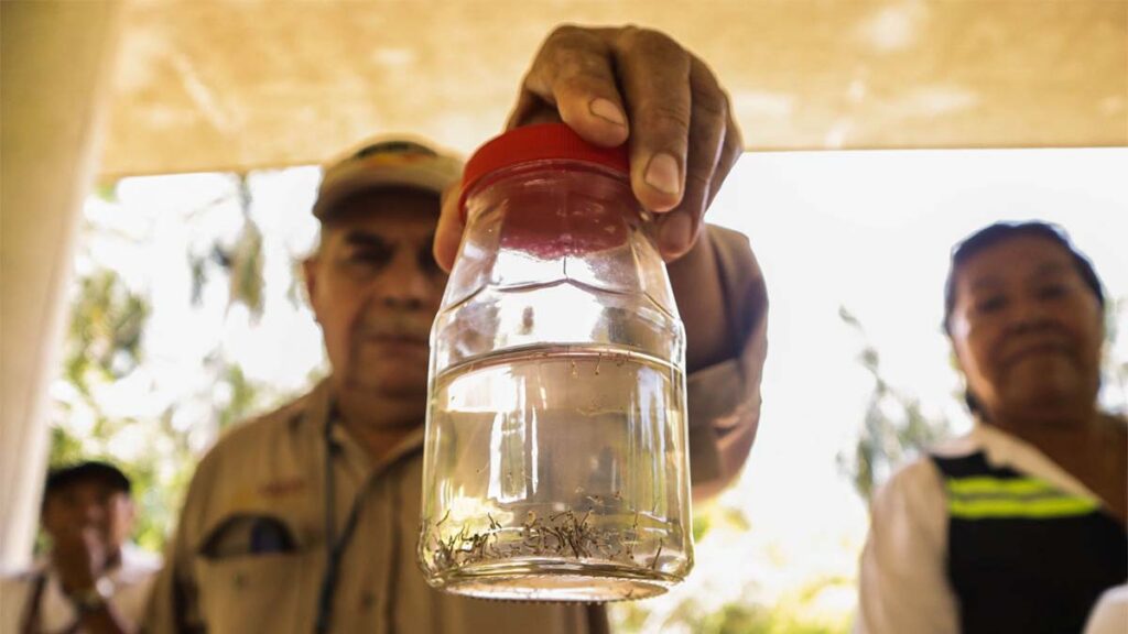 Santa Catarina toma acciones para combatir al dengue.