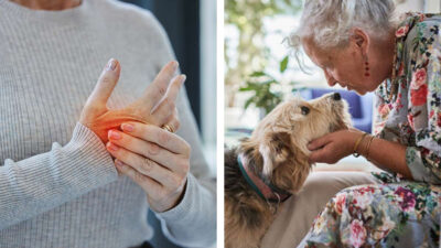 Perros lograron detectar Parkinson con gran efectividad