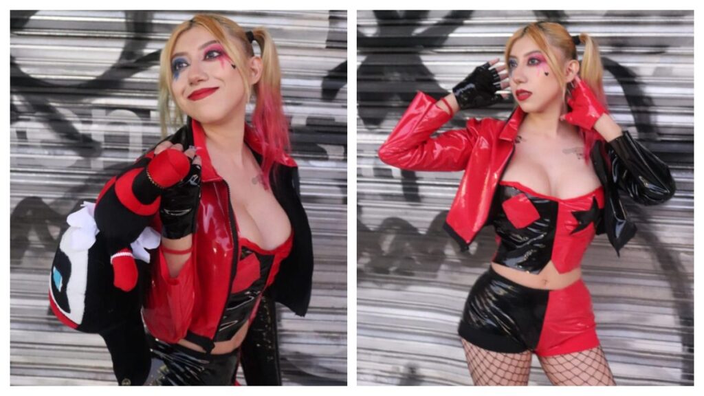 Harley Quinn Serie Cosplay