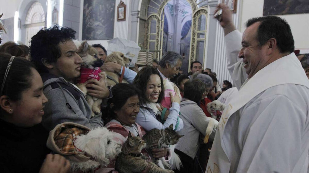 Por qué el 4 de octubre las iglesias bendicen a las mascotas