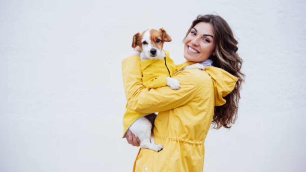 Enfermedades respiratorias comunes en mascotas durante la época de lluvia