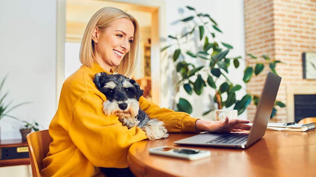 ¿Empleados podrán llevar a sus mascotas al trabajo en Colombia?