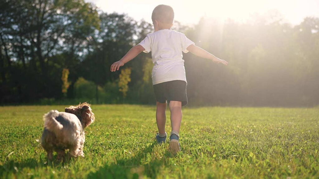 Perro que ayuda a caminar a un niño con epilepsia tumoral se viraliza