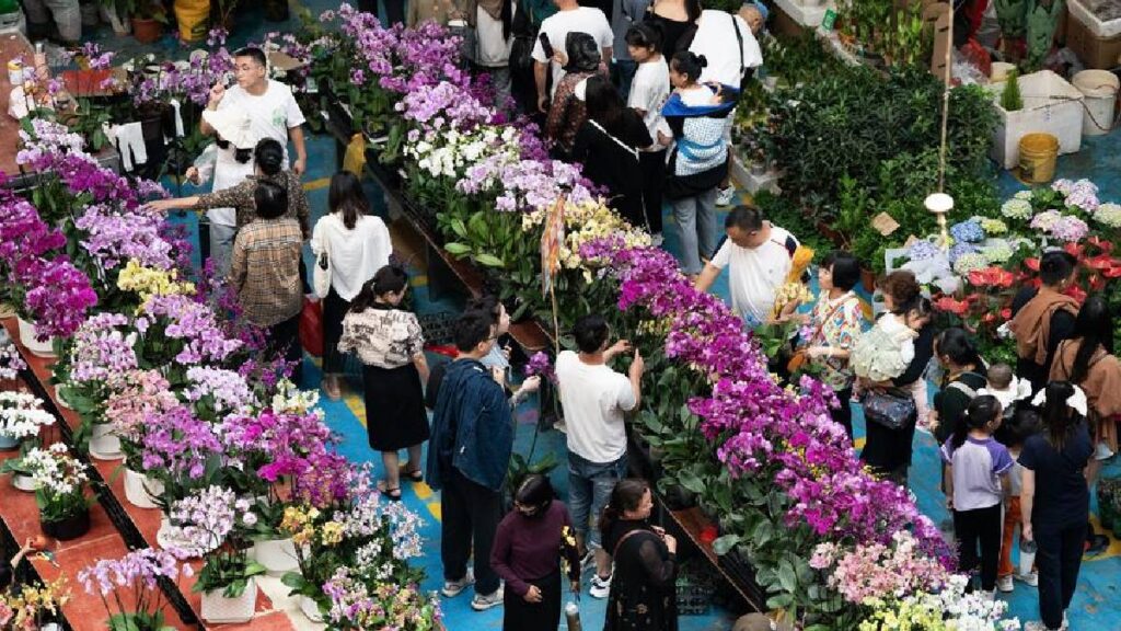 el mercado de flores más grande de Asia está en China