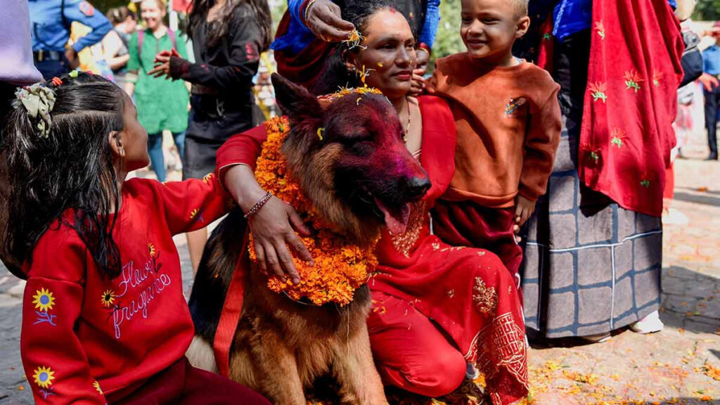 Perro Nepal