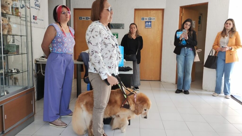 Escuela para perros guia