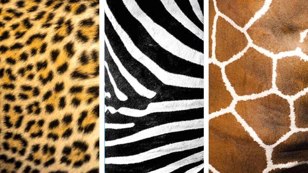 Animal print en la moda, historia de una tendencia que refleja rebeldía