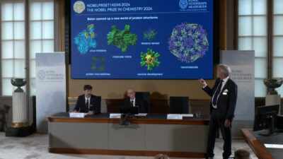 El premio Nobel de Química 2024 recae en tres pioneros de las proteínas
