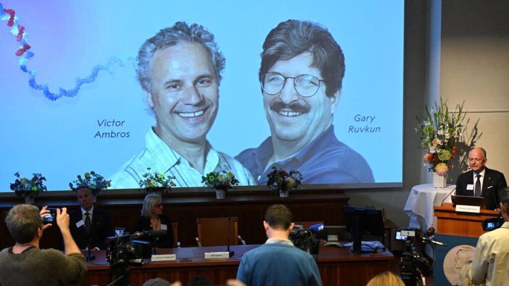 Victor Ambros y Gary Ruvkun ganadores del Nobel de Medicina 2024