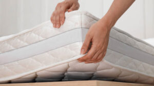 CDMX entregará colchones, refrigeradores y estufas gratis en Xochimilco