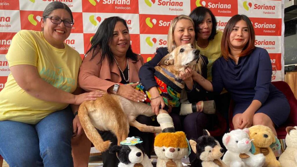 Milagros Caninos, Soriana y Purina lanzan campaña para ayudar al rescate de mascotas