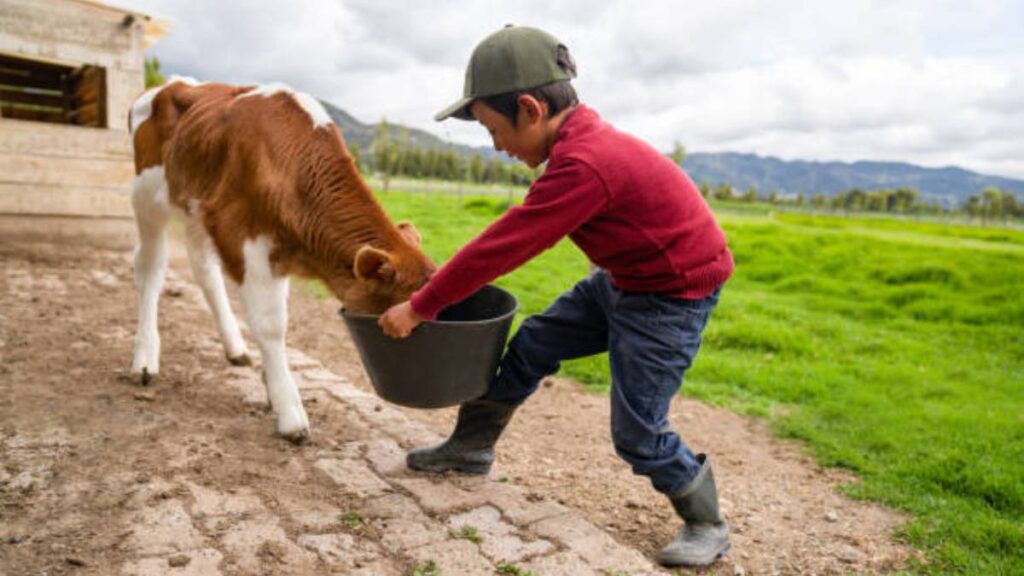 Convivir con mascotas o animales de granja reduce las alergias en niños