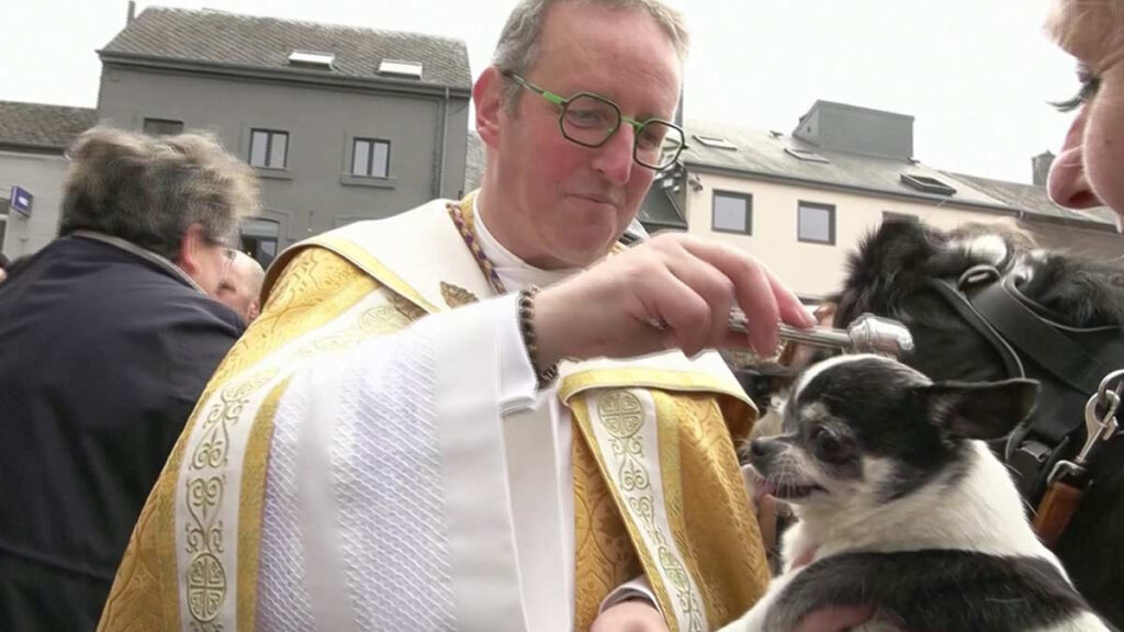 Bendicen animales en Bélgica para honrar a su santo patrono