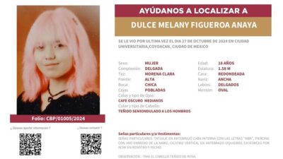 Ficha de búsqueda de Dulce Melany.