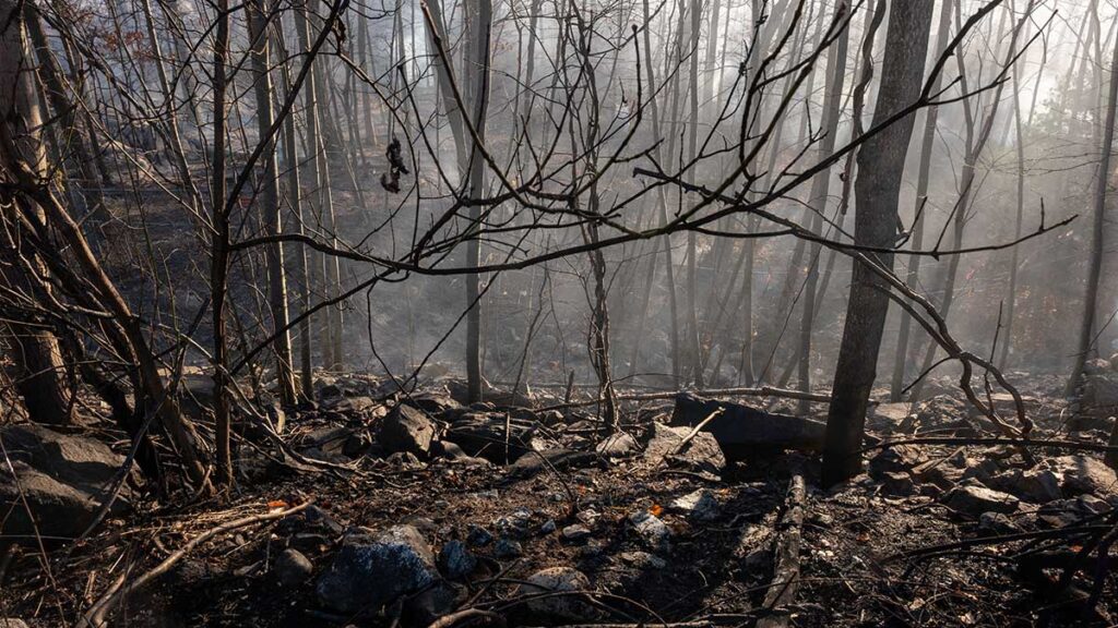 Sequía extrema y calor desatan incendios inusuales en Nueva York