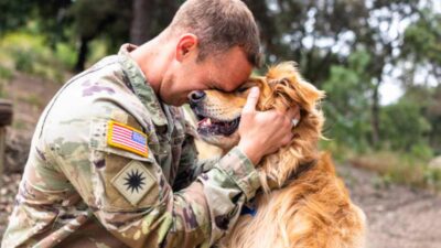 Veteranos alivian el estrés postraumático, tras volver de la guerra, con perros de asistencia