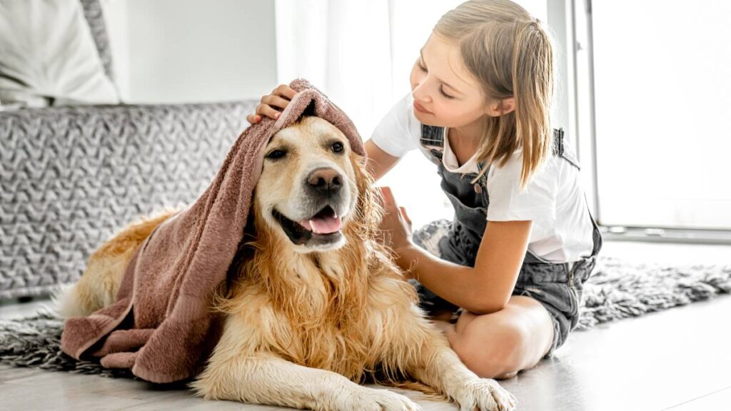 Niña y su perro juegan al spa, ¡con maquillaje, peinada y besito incluidos!