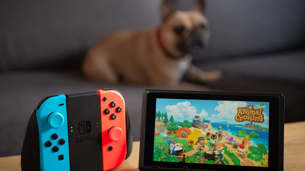 Nintendo mascotas Switch