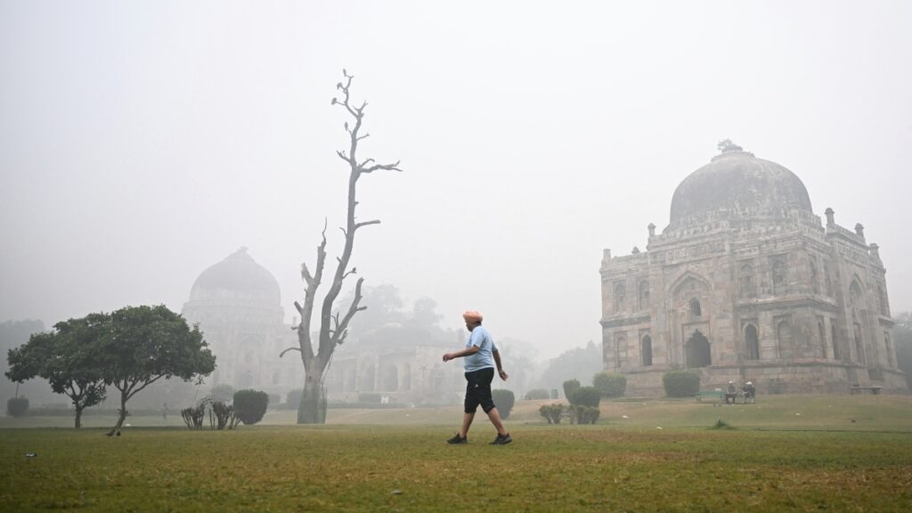 Nueva Delhi, en alerta por smog debido a contaminación.