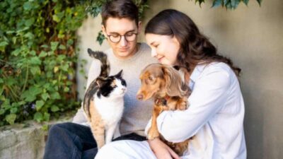 Razas de perros que se llevan bien con los gatos