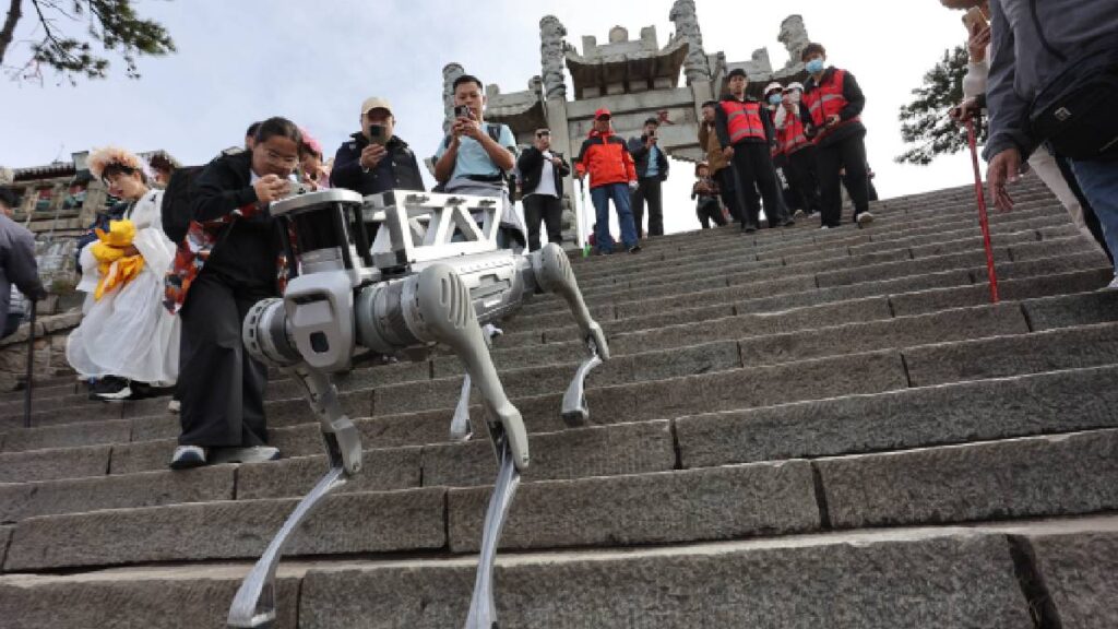 Perros robot en Monte Tai