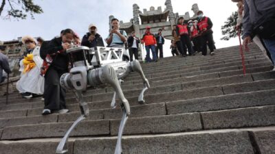 Perros robot en Monte Tai