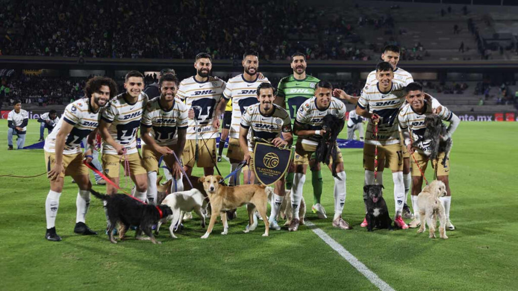 Pumas promueve la adopción de perros.