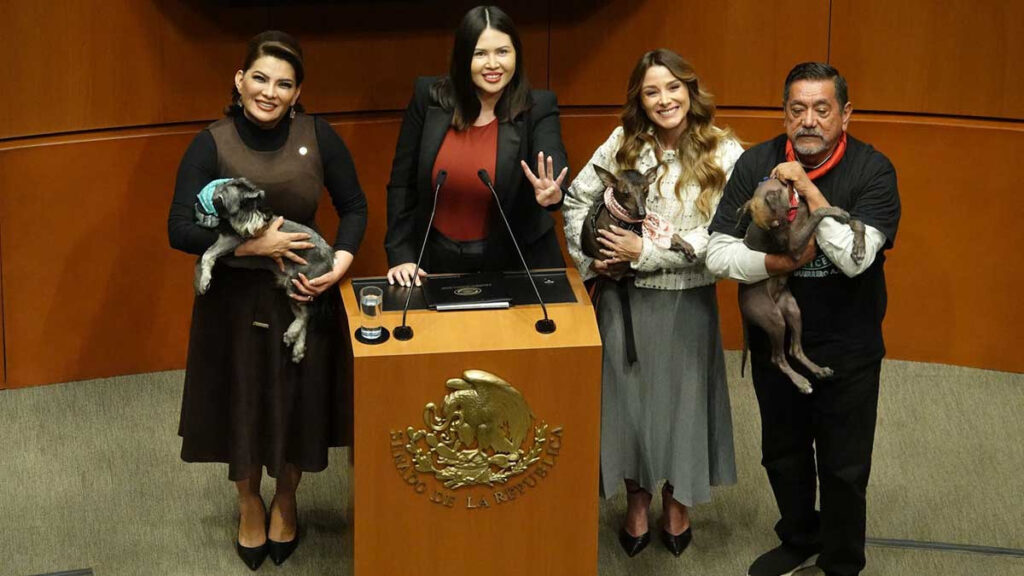 Senado aprueba por unanimidad reforma constitucional que prohíbe el maltrato de los animales y garantiza su protección