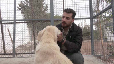 Hombre en Jordania ofrece refugio a perros que huyen de la guerra en el Líbano