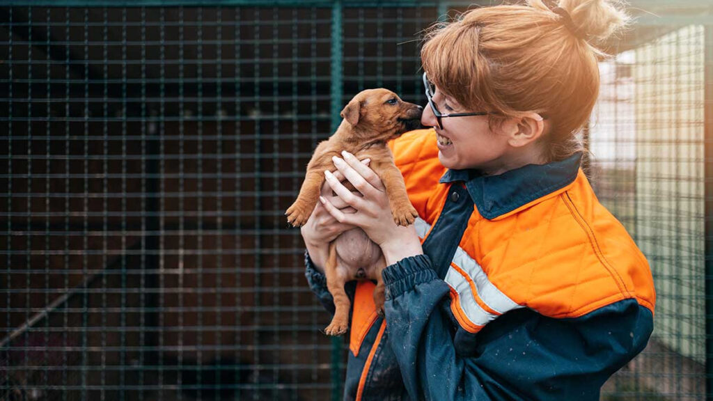 Conviértete en un rescatista de mascotas, te decimos dónde y cómo puedes lograrlo