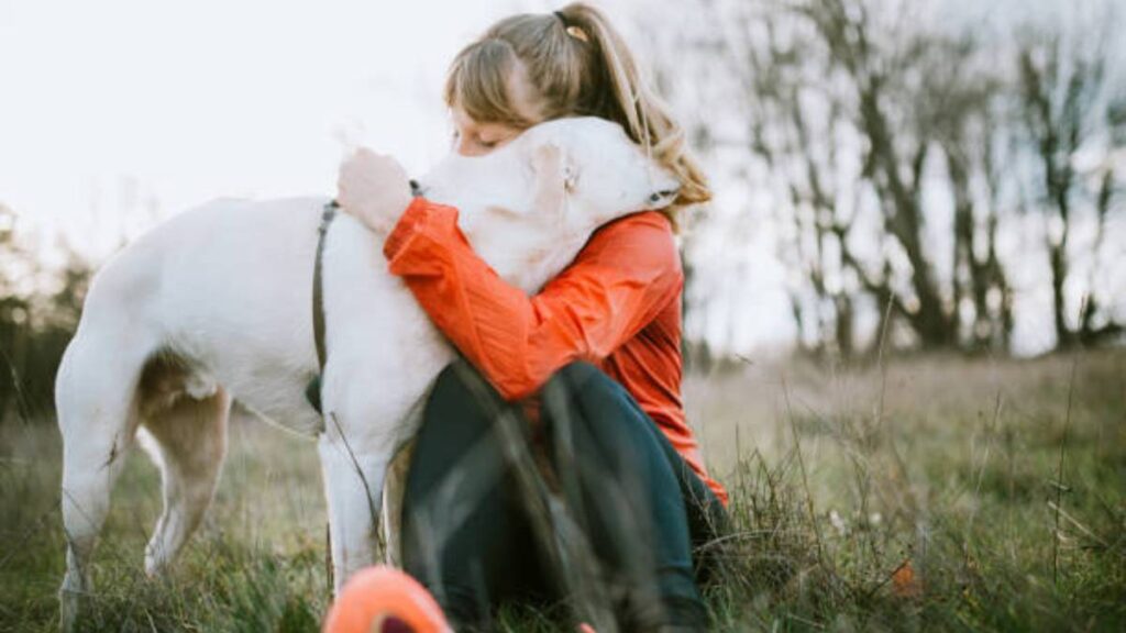 Los perros tratan de ofrecerle consuelo a los humanos: estudios