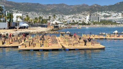 Acapulco recibirá el 2025 con gala de pirotecnia y show de drones