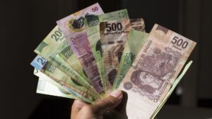 Tarjeta Violeta Guanajuato: requisitos y registro para apoyo de 2 mil pesos