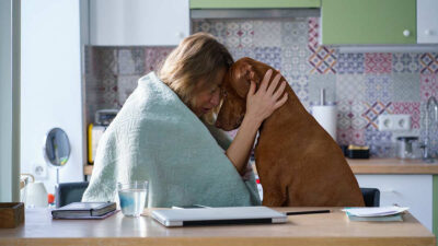 Los perros tratan de ofrecerle consuelo a los humanos: estudios