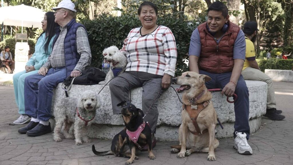 Registro Único de Mascotas en Morelos será gratuito